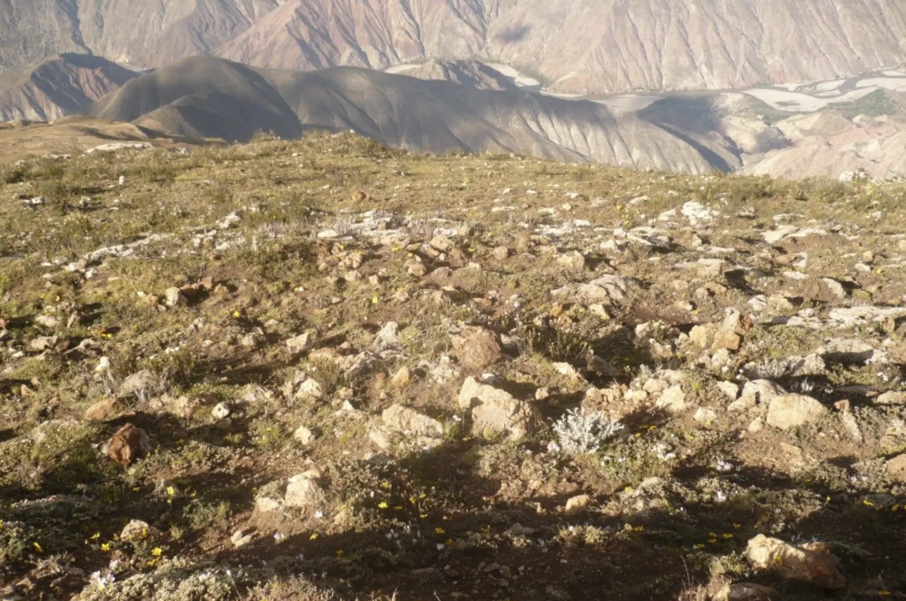 Outcrop zone with zinc carbonates and Zn–Pb–Ag sulfides