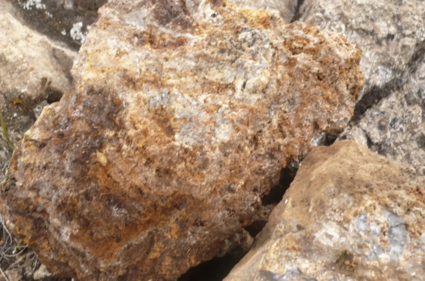Oxidized limestone with carbonates and sulfide specks