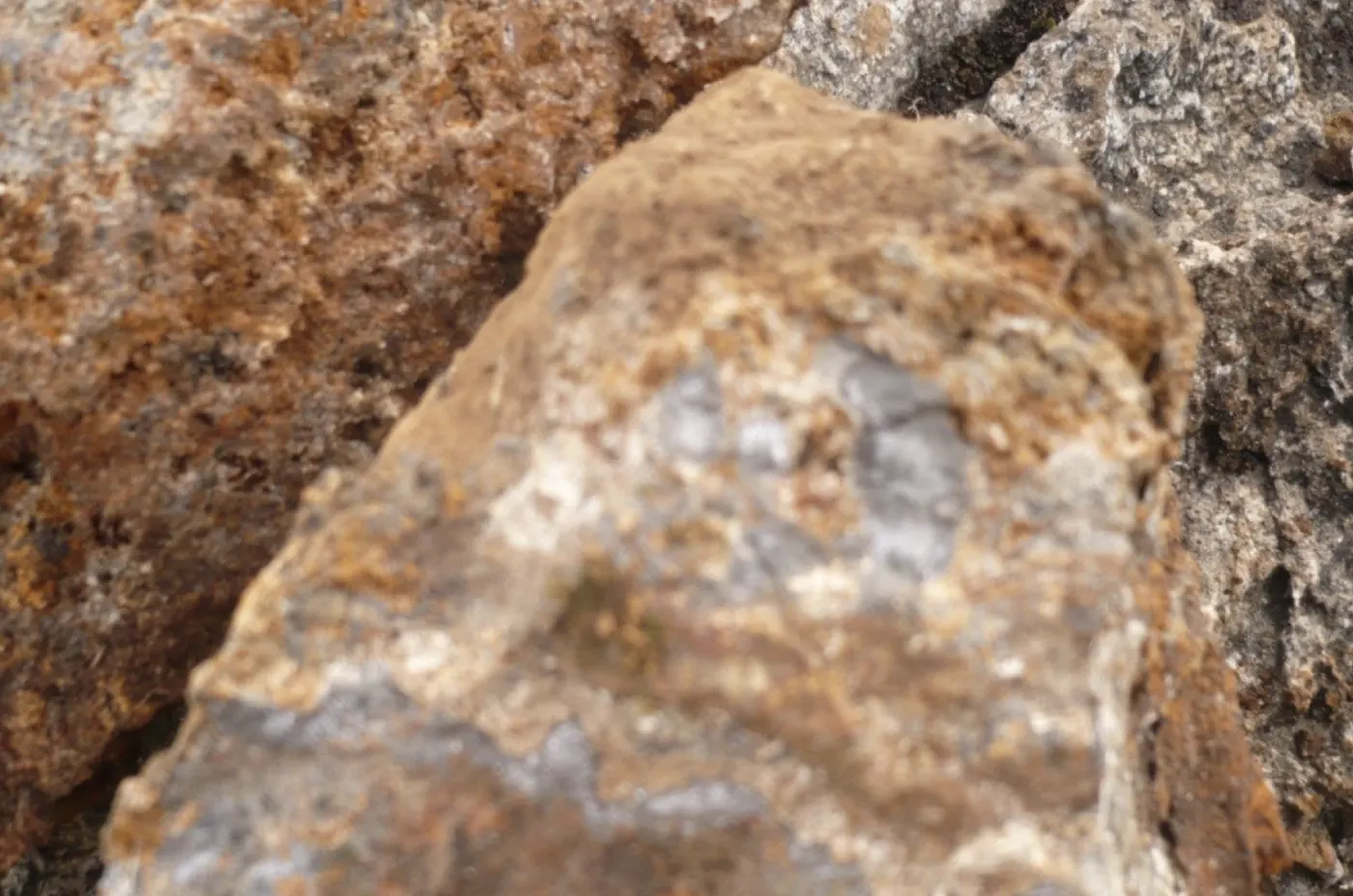 Surface rock with metal content